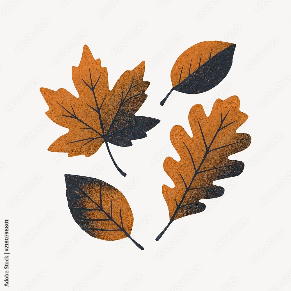 Obraz premium Autumn leaves illustration PNG