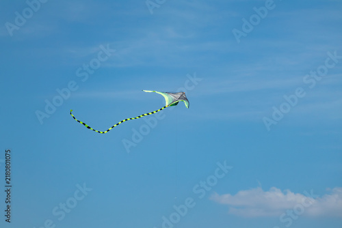 Fotografía Black and green kite lit by bright sunlight flies high in blue scenic sky with l
