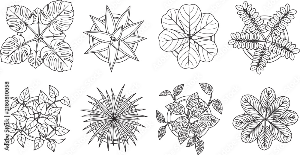 Obraz premium Top view set of hand drawn indoor potted plants in black and white line art vector illustration
