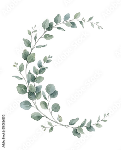Watercolor Eucalyptus Branch with Green Leaves Botanical Foliage Element