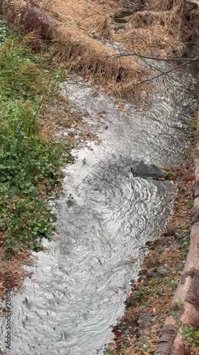 Water flows in a creek vertical slow motion