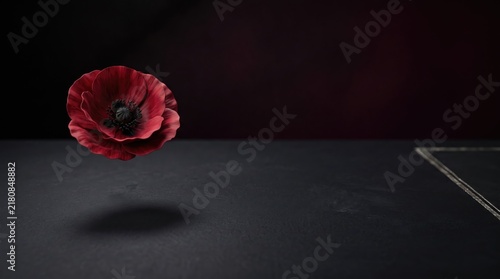 3d Remembrance Day (UK/Canada) abstract background new design 2026 Floating red poppy flower against dark background illustration