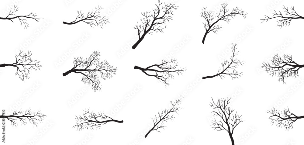 Obraz premium Black tree branch silhouettes. Leafless twig collection. Nature design elements.