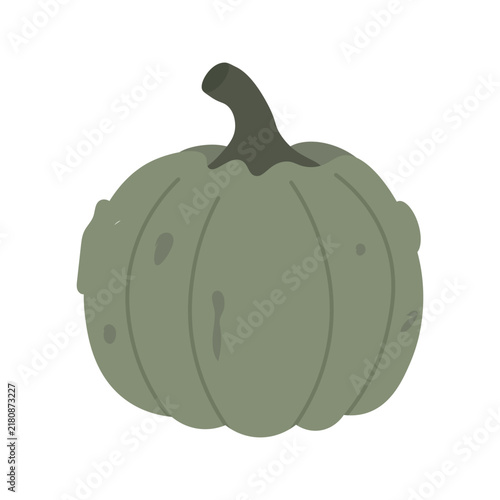 Green pumpkin vegetable icon. Fresh autumn harvest crop and healthy food illustration. Flat vector illustration isolated on white background.