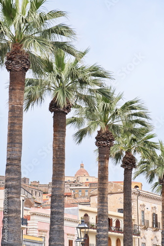 Palm Trees and Historic Dome in Milazzo, Sicily