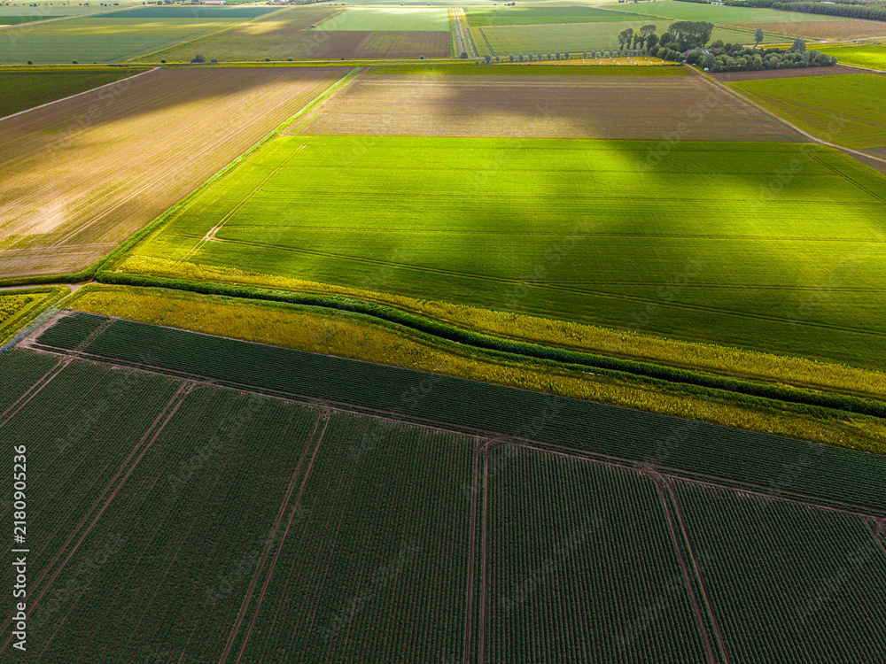 Obraz premium High angle wide horizontal aerial drone photograph of polder fields, crop rows, drainage canals, and cloud shadows in Kamperland, Zeeland, Netherlands on sunny summer day