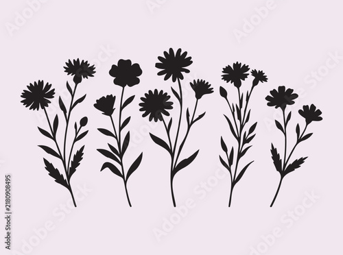 Field flower silhouette set black botanical garden plants for seasonal floral border design layout.