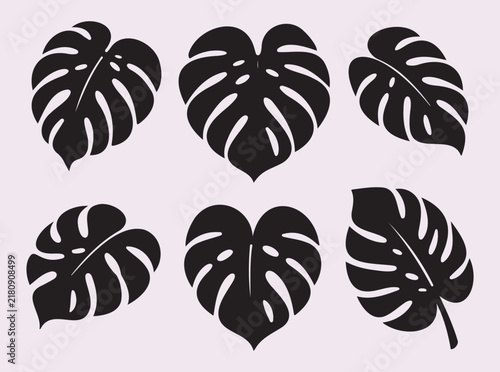 Monstera leaves silhouette on light background vector illustration for design.