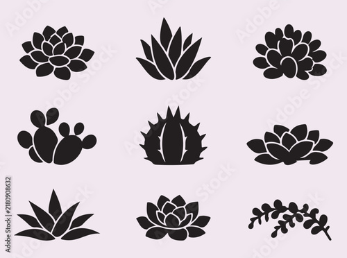 Succulent plant silhouette group for botanical and modern designs.