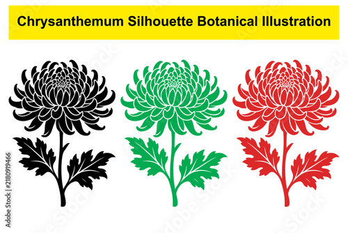 Chrysanthemum silhouette botanical illustration vector set with floral shapes for crafting projects.
