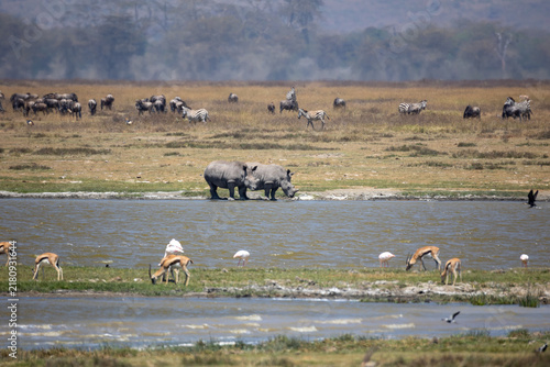 Photography Group of Rhino