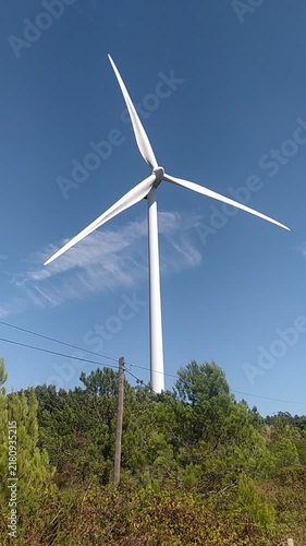A majestic white wind turbine rises high above a lush green pine forest under a brilliant blue summer sky, evoking a strong sense of clean, sustainable energy and hope. Nobody.