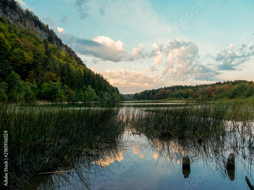 Bild auf Leinwand Paysage naturel du lac du Petit Maclu au Frasnois dans le Jura, entouré de forêt