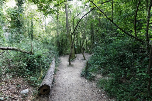 Trail in the Laudet Colony, Girona province in Spain