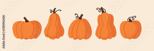 Hand Drawn Autumn Pumpkin Vector Clipart Set with Various Orange Squash Shapes and Curling Vines, ideal for Thanksgiving greeting cards, harvest festival banners, seasonal product packaging