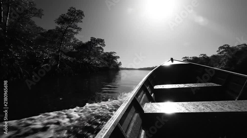Black and white view from boat exploring river with trees on the side during bright sunny day