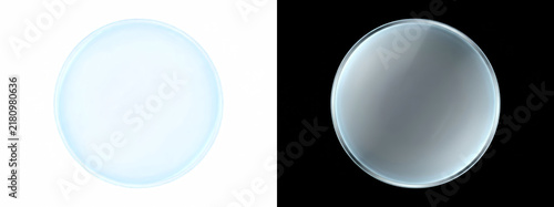 Translucent circular glass lens disc with luminous rim highlight and crystal refraction, effect overlay isolated on transparent background