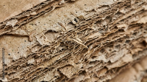 Abstract Texture of Layered Recycled Cardboard with Fibrous Edges and Brown Earth Tones