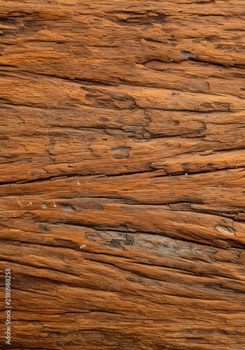 Close-up wooden surface, rich brown hues, visible grain patterns, natural imperfections, smooth and rough textures, subtle color variations, soft lighting, organic feel.