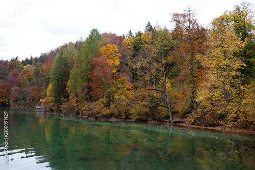 Fotografie Yellow, orange and evergreen trees along the rocky shore of lake Alpsee with crystal clear emerald water reflecting colorful autumn foliage in Bavaria