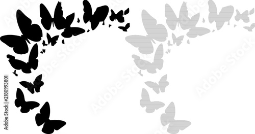 Flock of Butterflies in Silhouette Formation during Spring Transition with Contrasting Tones for Design