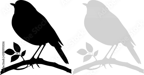 Bird silhouette perched on a branch with leaves during a clean white background for graphic design