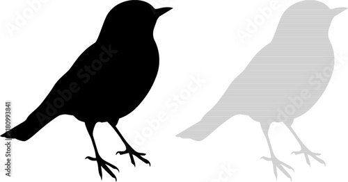 Bird silhouette in solid black and striped pattern against white background for graphic design