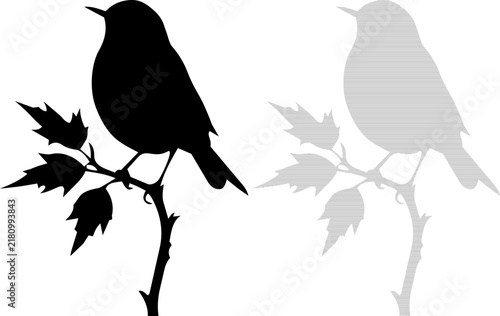 Bird silhouette perched on a branch with leaves during a clear day for nature concepts