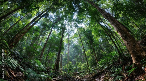 Tropical dense forest and environmental technology, green jungle with many leaves and plants. serene and peaceful mood, representation of nature's beauty and tranquility, landscape