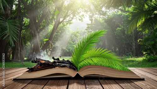 Open book with green palm leaf.