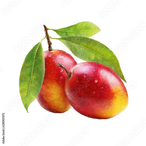 Ripe Mangoes with Leaves on a Branch with Water Droplets against Soft Light