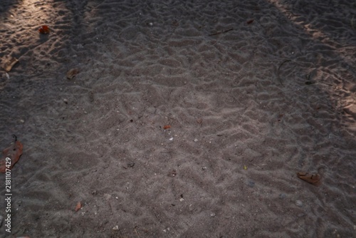 Fotografía Traditional chicken footprints pressed into bare soil in a rural Javanese home yard, representing free-range poultry, village life, and traditional countryside farming in Indonesia
