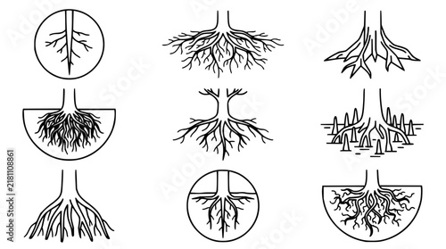 Tree root set with circular diagrams featuring botany, cross-section, and line drawing with detailed roots and soil