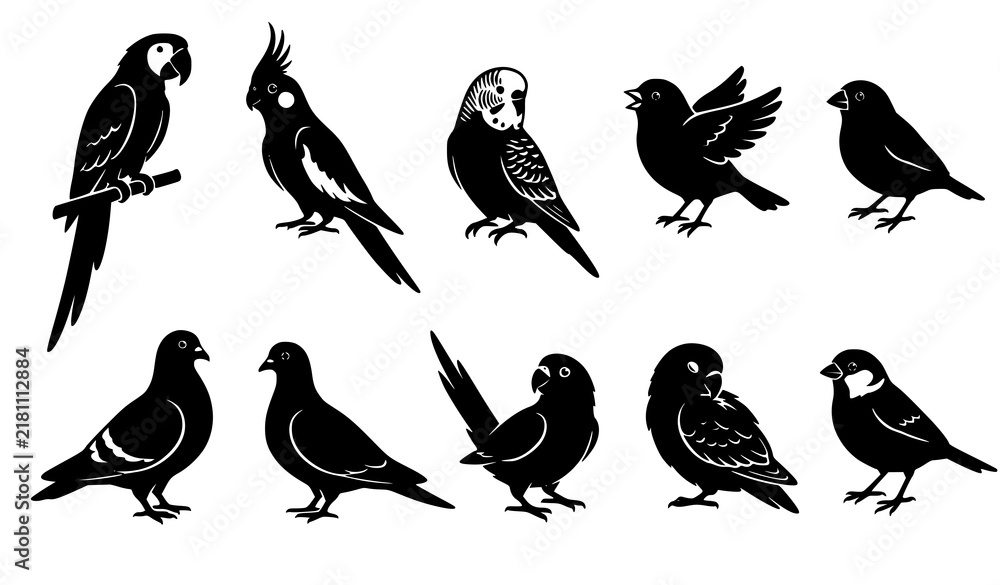 Fototapeta premium Pet bird silhouette collection featuring parrots cockatiels budgies canaries finches pigeons and doves in varied vector poses