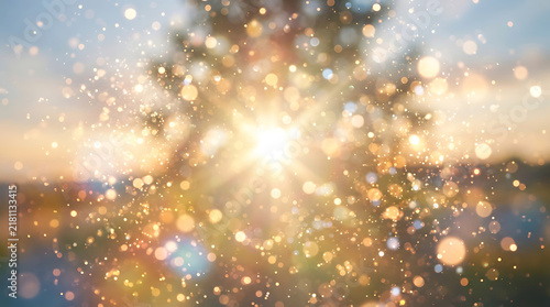 Sun rays shining through tree branches at sunset