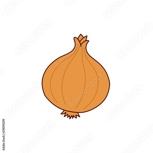 onion isolated on white background