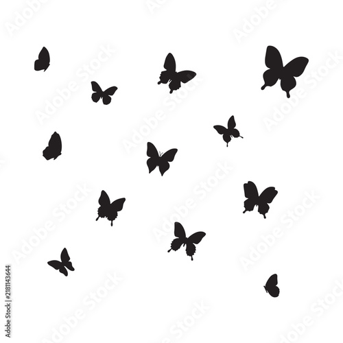 Butterfly silhouettes on a white background simple graphic design