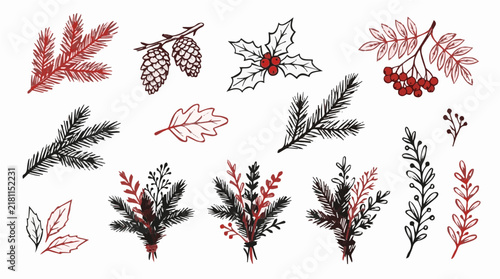 Christmas winter evergreen botanical doodle vector set with fir branches pine cones holly and berries