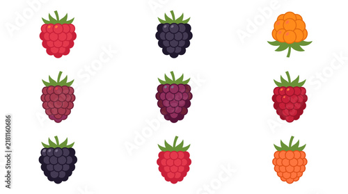 Sweet berry fruit varieties flat icon set.