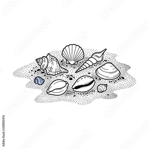 Group of various sea shells on sand illustration