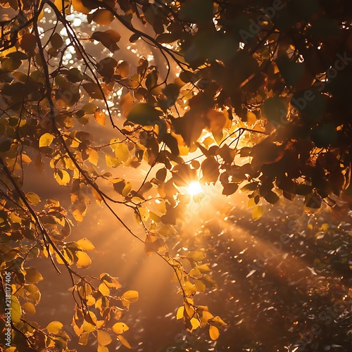 Golden Sunlight Piercing Through Autumnal Foliage in Forest.