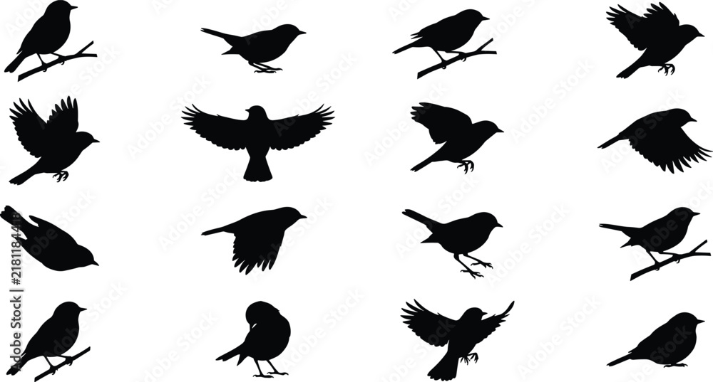 Fototapeta premium Vector silhouette collection of small birds flying and perching on branches