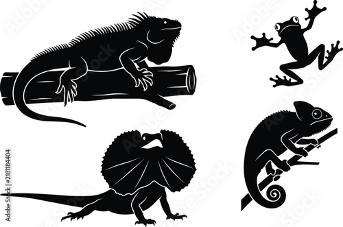 Foto Vector silhouette collection of reptiles and amphibians featuring an iguana frog