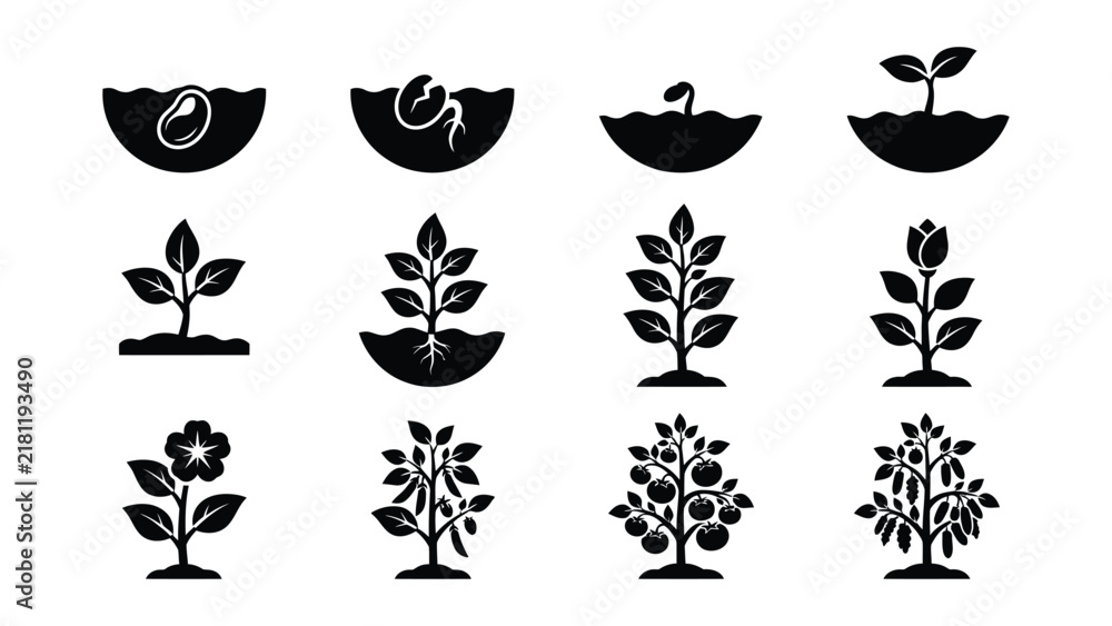 Obraz premium Plant Growth Stages Illustrated with Seed to Mature Tree Icons