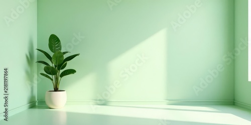 Serene Minimalist Room Corner Featuring a Lush Green Plant in a Simple White Pot, Bathed in Soft Natural Light