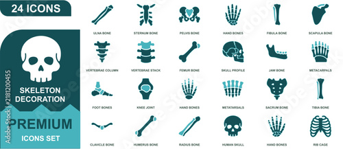 Set of 24 skeleton decoration icons featuring human anatomy and bone structures in teal
