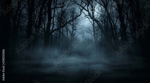 Dark foggy forest scene with bare trees with dark misty woodland trees stand frightening