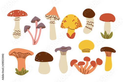 Simple flat style mushroom set. Autumn set of hand drawn illustration cute and cozy design elements isolate on white background . Fall, Thanksgiving Day, Autumn season.