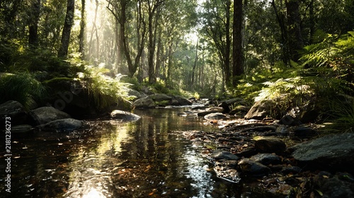 Sunlit forest stream flowing through lush green woodland