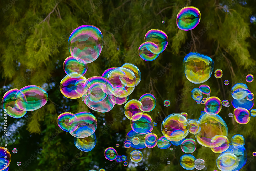 Obraz premium Floating iridescent soap bubbles against lush green foliage background